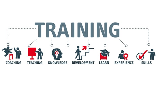 Training & Skills Development